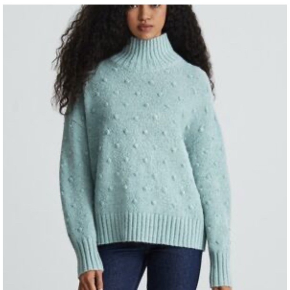 Everlane The Alpaca Pompom Turtleneck Sweater Small 9157